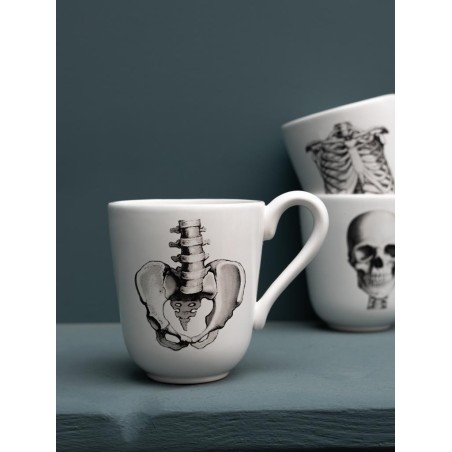 Mugs squelette