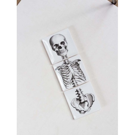 Assiettes carrées squelette