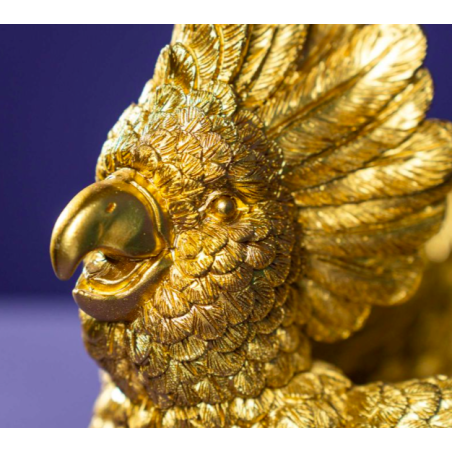 Vide poche Cacatoès