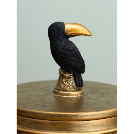 Boite Toucan