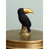 Boite Toucan